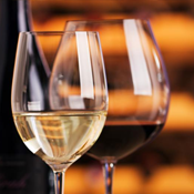 artenders wine tasting